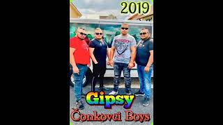 Gipsy Conkovci Boys 17 Cely Album studio 17 [upl. by Robin]