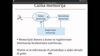 Čulna memorija vežbe iz kognitivne psihologije [upl. by Amaso281]