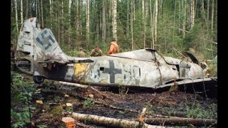 Wulf in the Woods  The Most Incredible WW2 Relic Ever [upl. by Jeanine]