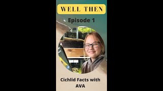 Facts About Cichlids Multifasciatus Shell Dweller [upl. by Elleirua]