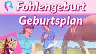 Fohlengeburt Geburtsplan Stute [upl. by Shanks251]