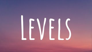 Avicii  Levels Lyrics [upl. by Ysteb947]