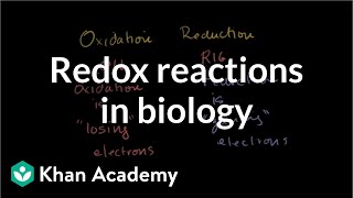 Oxidation and reduction review from biological pointofview  Biomolecules  MCAT  Khan Academy [upl. by Aihset397]