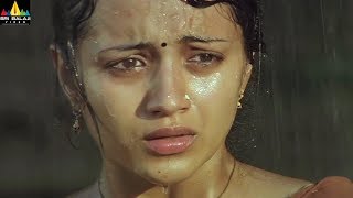 Nuvvostanante Nenoddantana Movie Halwa Comedy  Siddharth Trisha  Sri Balaji Video [upl. by Suivatnad]