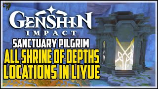 Genshin Impact All Shrine Of Depths Locations in Liyue Sanctuary Pilgrim Achievement [upl. by Attenal]