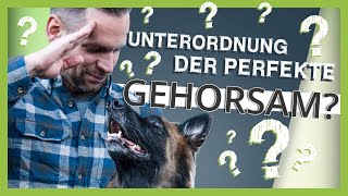 UNTERORDNUNG beim Hund – Der perfekte Gehorsam [upl. by Pliske400]