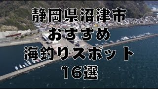 静岡県沼津市の海釣りスポット16選 [upl. by Ayotnahs764]