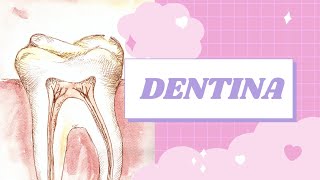 ✅ DENTINATIPOS DE DENTINAHISTOLOGIA colordeldiente dentinaterciaria dentina [upl. by Yentterb]