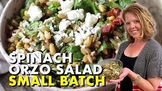 Spinach Orzo Salad  Healthy Small Batch Recipe [upl. by Gehlbach]