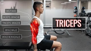 The Best ScienceBased Tricep Workout  ARMS Part 22 [upl. by Notniuqal]