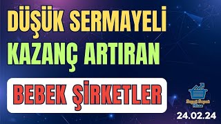 DÜŞÜK SERMAYELİ KAZANÇ ARTIRAN BEBEK ŞİRKETLER [upl. by Dewees803]