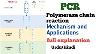 Polymerase Chain Reaction PCR and its applications IN Urdu Hindi By Dr Hadi [upl. by Melania433]