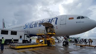 SriLankan Airlines  Business Class  A330300  ColomboMale  Full flight [upl. by Aerda]