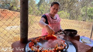 Enchiladas Placeras De Michoacán Así Se Vive En El Rancho [upl. by Naylor141]