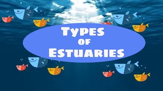 Types of estuaries [upl. by Norrabal]