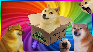 Doge Unboxing Boxception Box inside a box Darude Sandstorm in forest Dogelore meme [upl. by Odnolor]