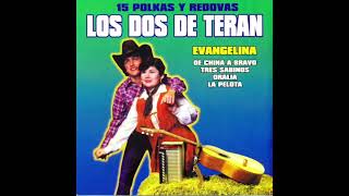 Los Dos De Teran  15 Polkas y Redovas Disco Completo [upl. by Yelnik]