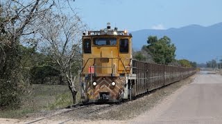 Sugar Cane Trains Australia Trains of the Burdekin Mills [upl. by Leigh]