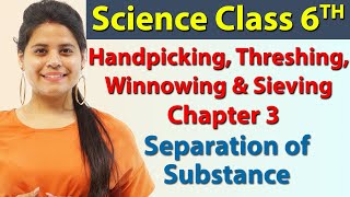 Handpicking Threshing Winnowing amp Sieving  Chapter 3  Separation of Substances  Science Class 6 [upl. by Atipul393]