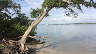 SECRET BEACH OLDSMAR FLORIDA [upl. by Siramaj]