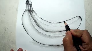 How to Draw Bananas  Pencil Drawing and Shading [upl. by Xuaeb]