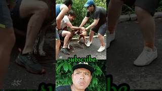 Pitbull Vs Pitbull fight WHATS TILL THE ENDpitbull pitbulldog pitbulls [upl. by Nakada]