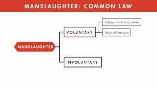 Criminal Law tutorial Manslaughter  quimbeecom [upl. by Jaco]