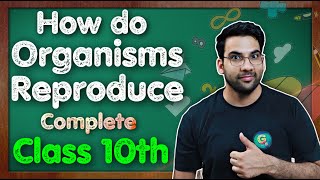 How Do Organisms Reproduce Reproduction Class 10 Science Chapter 7  Chapter 8  CBSE NCERT KVS [upl. by Sidoon236]