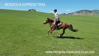 Gallop in Mongolia Horse riding trails by Mongolia Travel amp Tours [upl. by Marrilee738]