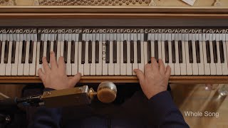 Piano Music Tutorial Woolly Bully by Sam the Sham and the Pharaohs [upl. by Esinal]