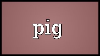 Pig Meaning [upl. by Annas]