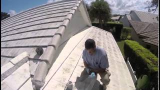 Pest Control  How to RodentProof Your Home  Exterminator in Vero Jupiter  Nozzle Nolen [upl. by Atteloiv702]