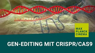 Genediting mit CRISPRCas9 english subtitles [upl. by Ellissa468]