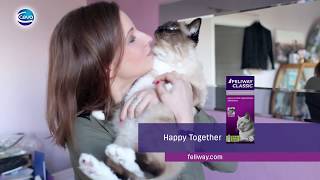 How stop your cat spraying [upl. by Laroy]