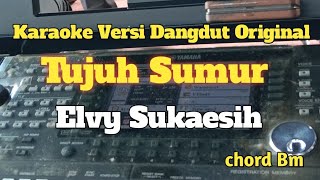 Tujuh sumur  Elvy Sukaesih  Karaoke Versi Dangdut Original [upl. by Erodoeht]