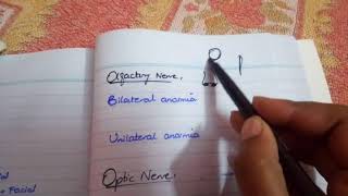 CRANIAL NERVE CLINICALS part 1 first cranial merve [upl. by Eloc]