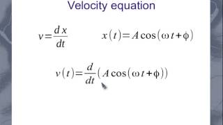 SHM Velocity and Acceleration Equations [upl. by Navi774]