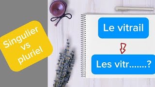 Transformez le Singulier en Pluriel  Testez Vos Connaissances en Français quot [upl. by Viridi754]