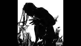 Playboi Carti  NARCISSIST FULL ALBUM [upl. by Basile]