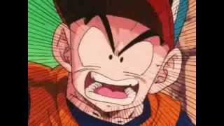 TFS Abridged Best of Krillin 2 [upl. by Lorens549]