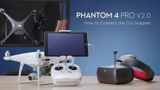 How to Connect DJI Phantom 4 Pro V20 to DJI Goggles RE [upl. by Gauldin]