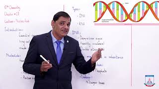 Class 10  Chemistry  Chapter 13  Lecture 05  Nucleic Acid  Allied Schools [upl. by Kelleher]