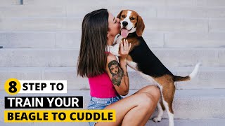 How to make your Beagle Cuddlefriendly and Affectionate [upl. by Gylys]