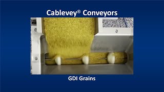 Cablevey® Conveyors  GDI Grains [upl. by Akiehs404]