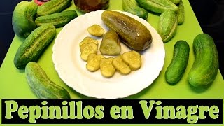 ¿Cómo hacer Pepinillos en Vinagre Las Recetas del Hortelano [upl. by Chrotoem]