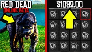 THIS SECRET ANIMAL WILL MAKE YOU 1000 in Red Dead Online RDR2 Online Money Making Guide EASY [upl. by Terraj]