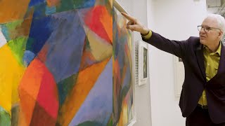 Steve Martin on how to look at abstract art  MoMA BBC  THE WAY I SEE IT [upl. by Aikemit]