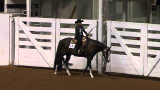 2015 06 30 Abbys Walk Trot Western Pleasure 10 and Under Appaloosa Worlds [upl. by Sebastien]