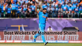 Shami Best Wickets  Mohammed Shami Top 10 Wickets  CricketTV [upl. by Ainoek]