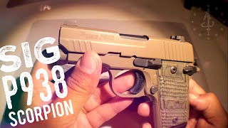 Sig Sauer P938 SCORPION 9MM review  1 year later [upl. by Atinehc]